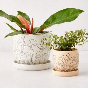 small planter pot